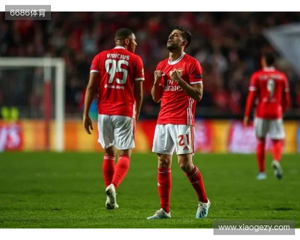 投票人数创历史，本菲卡官宣鲁伊-科斯塔连任球队主席